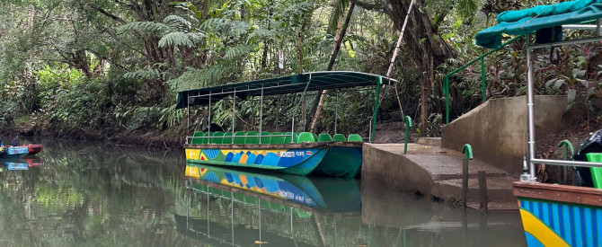 Manuel Antonio Mangrove Tours Cr מתוך הטיפ של ענת לוי_4262136 - למטייל