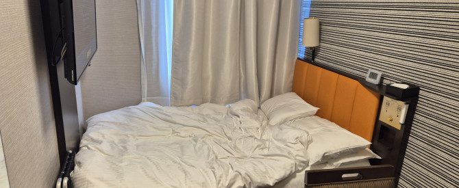 APA Hotel Shinjuku Kabukicho Tower (No. 236)