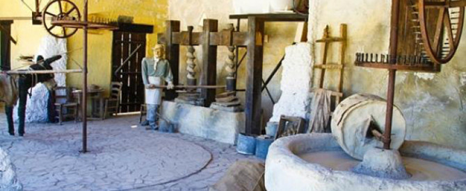 תמונה מייצגת עבור הפוסט: קפריסין, ביקור בפארק הזית אוליסטרו המובילה בשוק שמן זית האורגני בקפריסין Oleastro Olive Park 