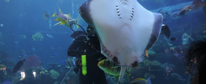 בית מלון וקזינו סילברטון מתוך הטיפ של bichad - למטייל