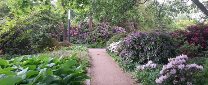 הגנים הבוטניים בהמבורג מתוך הטיפ של gadibm - למטייל