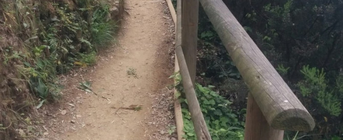 מסלול חד יומי בצ'ינקווה טרה מתוך הטיפ של שוקיל - למטייל