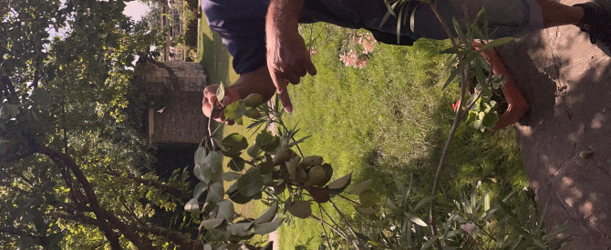 הנהג סטפן מתוך הטיפ של Adar Leib_4180849 - למטייל