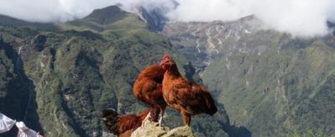 תמונה מייצגת עבור הפוסט: !Mission: Everest. פרק 04.