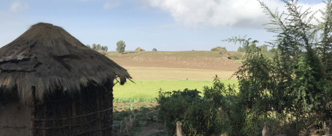 אברהם רבינוביץ מתוך הטיפ של Shirel_3932228 - למטייל