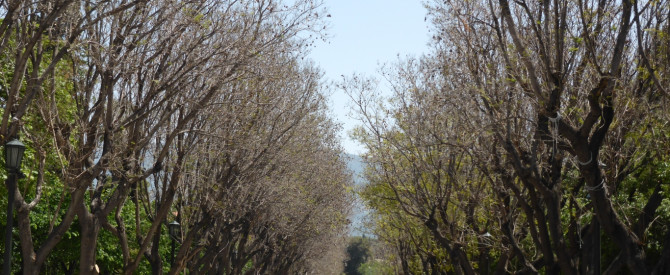 מסלול עד שבוע באתונה מתוך הטיפ של hfk - למטייל