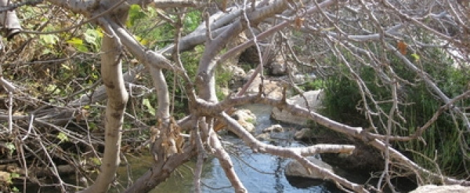 תמונה מייצגת עבור הפוסט: טיול לנחל פרת - ואדי קלט לזיכרו של נמרוד גרשוני