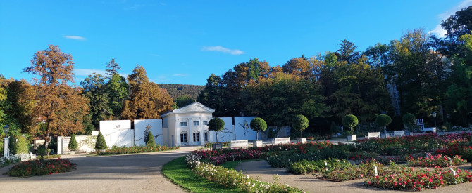carathotel Schloss Weikersdorf מתוך הטיפ של ofraudi - למטייל