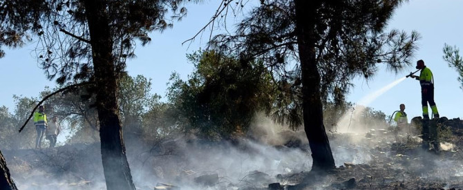 בעקבות עומס החום הכבד: קק"ל מזהירה את ציבור המטיילים מפני הדלקת אש ביערות