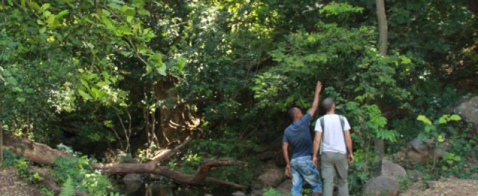 מסלול ארוך באתיופיה מתוך הטיפ של דר.נטע - למטייל