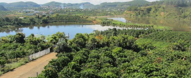 טיולים של the sinh tourism da lat בדאלאת 