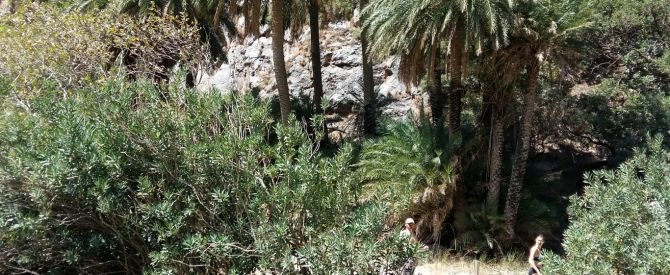 חוף פראבלי מתוך הטיפ של אוריתשפ - למטייל