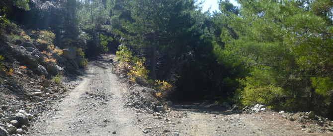 תמונה מייצגת עבור הפוסט: מסלולי טיול רגליים בקפריסין, שביל טבע ממנזר טרודידיסה לכפר פרודרומוס Trooditissa to Prodromos Trail, Troodos mountain