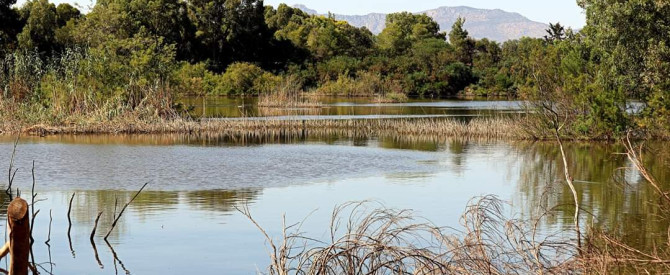 תמונה מייצגת עבור הפוסט: קפריסין, ביקור בפארק הלאומי אתלסה בניקוסיה Athalassa National Park