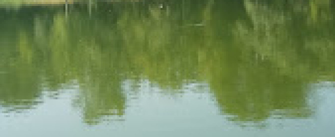פארק קרול מתוך הטיפ של roma2005 - למטייל