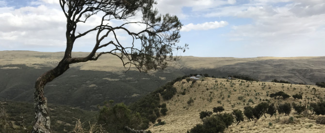 אברהם רבינוביץ מתוך הטיפ של Shirel_3932228 - למטייל
