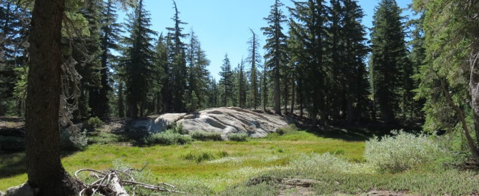 תמונה מייצגת עבור הפוסט: PCT - Tahoe to Yosemite - יום 01