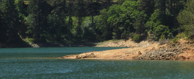 Bailey Cove באגם שסטה