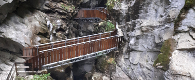 נקיק גילפנקאלם GILFENKLAMM‏