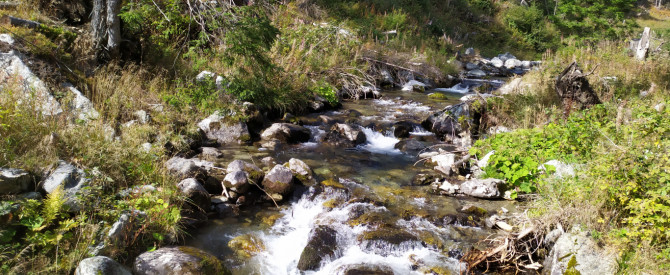 Žiarska Valley NP Western Tatras מתוך הטיפ של מטייל_4037154 - למטייל