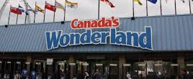 Wonderland או Disneyland - זו השאלה
