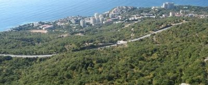 תמונה מייצגת עבור הפוסט: קרים