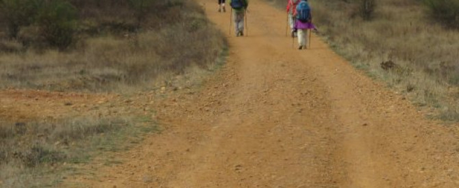 מסלול ארוך בסנטיאגו דה קומפוסטלה מתוך הטיפ של shirleykuf - למטייל