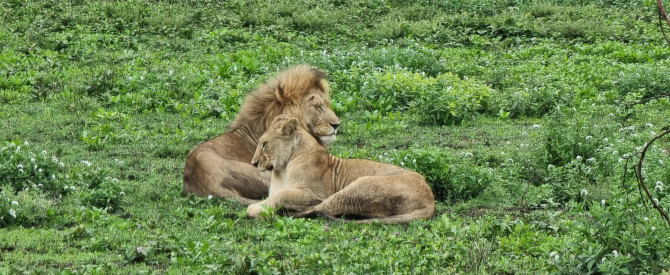 עמי בורג Africa4u טיול לאפריקה בהתאמה אישית מתוך הטיפ של inbarlif - למטייל