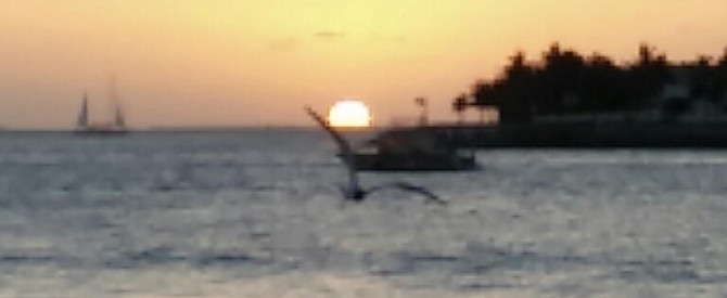 יומיים ממיאמי ל קיי ווסט key west
