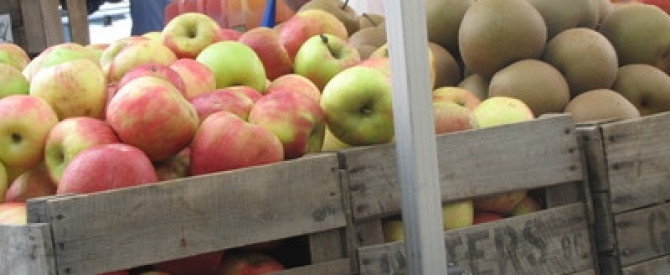 תמונה מייצגת עבור הפוסט: טיול לצפון מזרח ארצות הברית| פוסט 2# או שנה טובה!