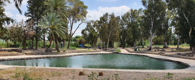טיול רגלי בנחל צביה וסיור בעמק המעיינות (עמק יזרעאל)