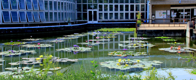 Kyoto Botanical Gardens מתוך הטיפ של אלון והחברים - למטייל