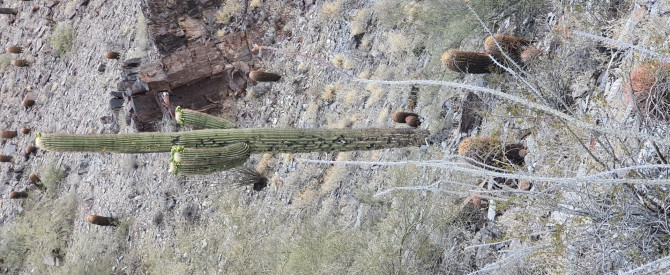 Piestewa Peak Trailhead