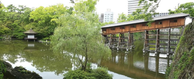 Daiwa Roynet Hotel TOKUSHIMA-EKIMAE מתוך הטיפ של Hershy - למטייל