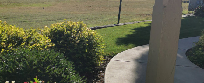 Meadow View K Farm Guest House