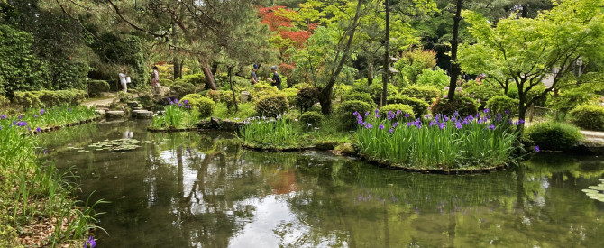 ShiZen Japan Tours מתוך הטיפ של Alexandra Abramov_4208732 - למטייל
