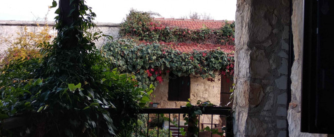 Loxandra Inn