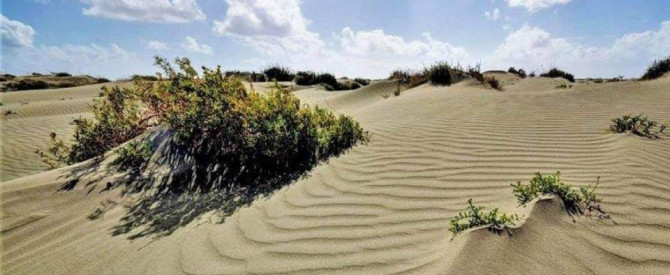 תמונה מייצגת עבור הפוסט: קפריסין, טיול  לאקרוטירי, גבעות החול של מדבר לימסול The sand hills of the Akrotiri Limassol desert
