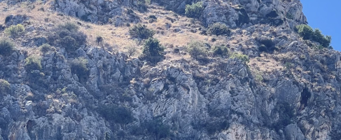 קולון טורס - סיורים בעברית באתונה והסביבה מתוך הטיפ של estherhalimi - למטייל